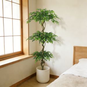Sapin ficus artificiel 6pi, bonsaï, pot, décor maison/bureau