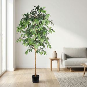 Ficus artificiel 6pi, tronc naturel, pot noir