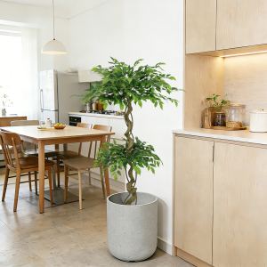 Ficus artificiel 5,2pi, arbre faux banian, décor bureau patio pot