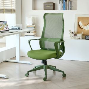Chaise bureau ergonomique colorée 350 lb mesh dossier haut support lombaire