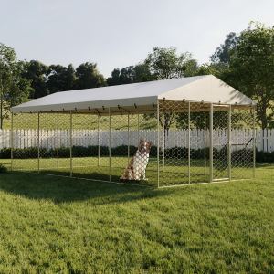 Chenil Chien 10x20 FT Acier Galvanisé Couvert Imperméable