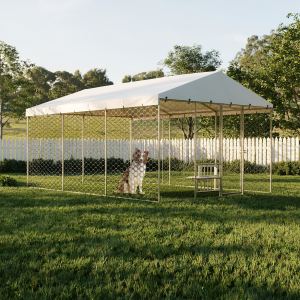 Chenil extérieur 15x10 FT acier galvanisé, canopée