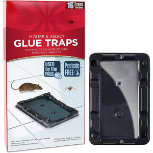 Pièges gluants souris antiparasitaire sans pesticide