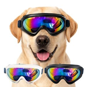 Lunettes de soleil pour chiens petites races