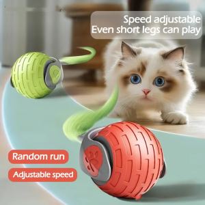 Jouet chat balle roulante électrique interactive USB rechargeable